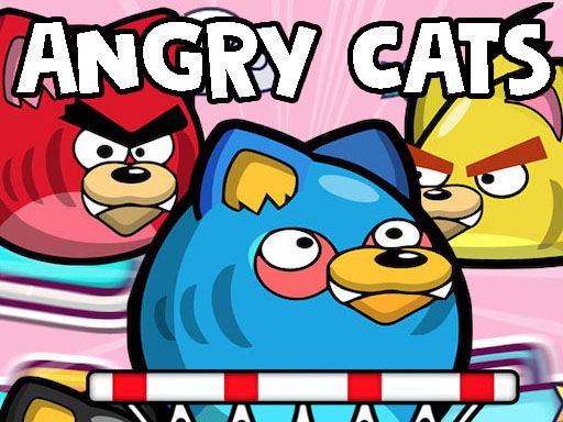 Angry Cats