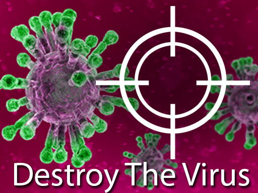 image Destroy The Corona Virus